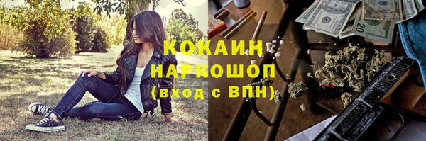 ПСИЛОЦИБИНОВЫЕ ГРИБЫ Рославль