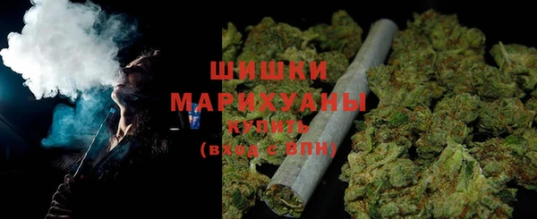 ПСИЛОЦИБИНОВЫЕ ГРИБЫ Рославль