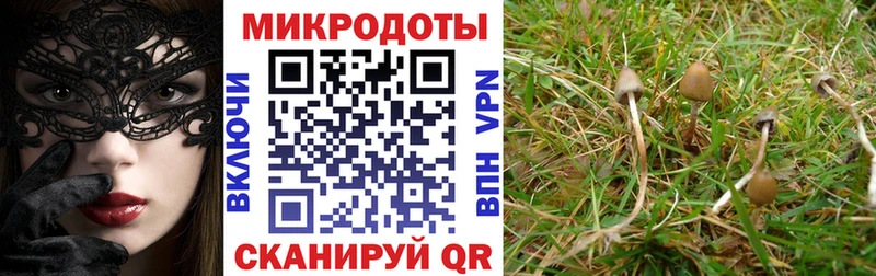 купить наркотики цена  Кумертау  Псилоцибиновые грибы MAGIC MUSHROOMS 